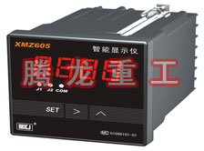 溫度表、數(shù)字顯示儀、濕度表