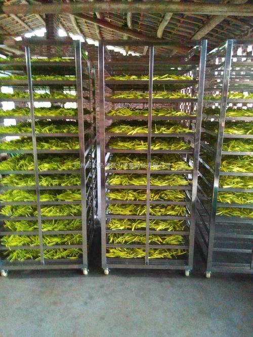 黃花菜烘干機(jī)、黃花菜烘干設(shè)備、黃花菜干燥機(jī)、黃花菜干燥設(shè)備、